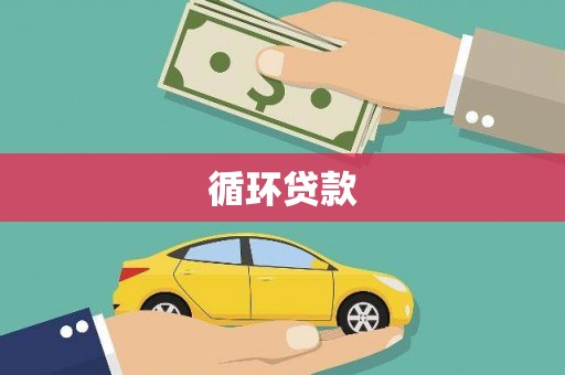 宁南循环贷款