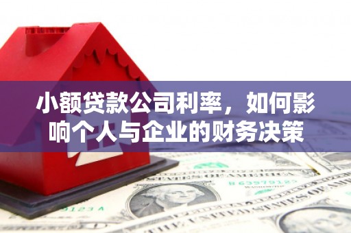 宁南小额贷款公司利率，如何影响个人与企业的财务决策