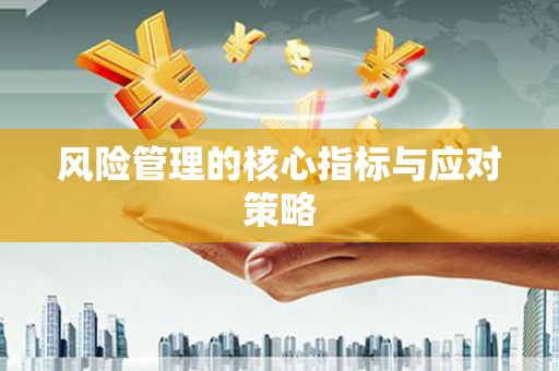 宁南风险管理的核心指标与应对策略