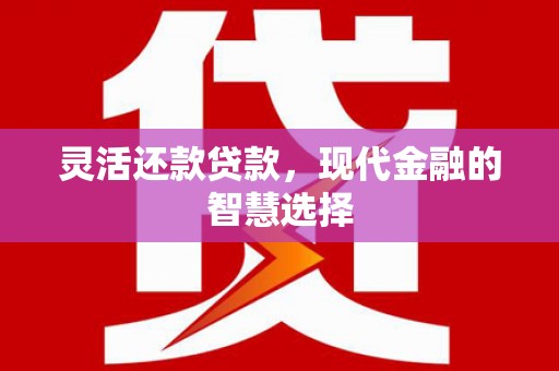 宁南灵活还款贷款，现代金融的智慧选择