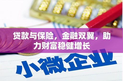 宁南贷款与保险，金融双翼，助力财富稳健增长