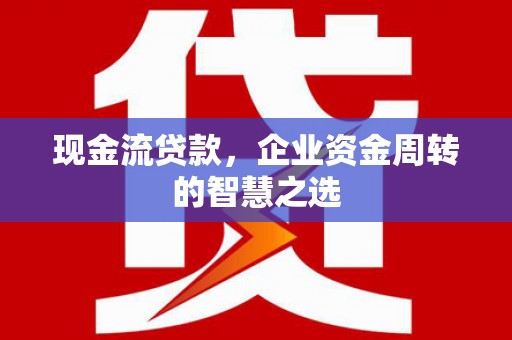 宁南现金流贷款，企业资金周转的智慧之选