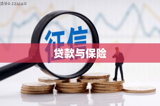 宁南贷款与保险