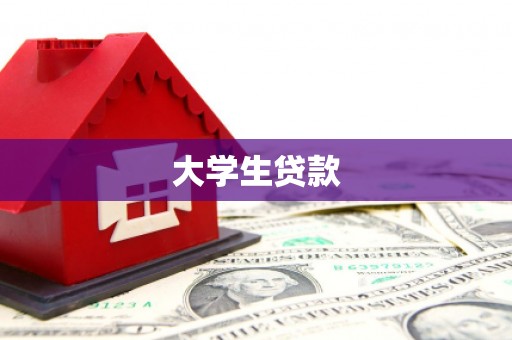 宁南大学生贷款