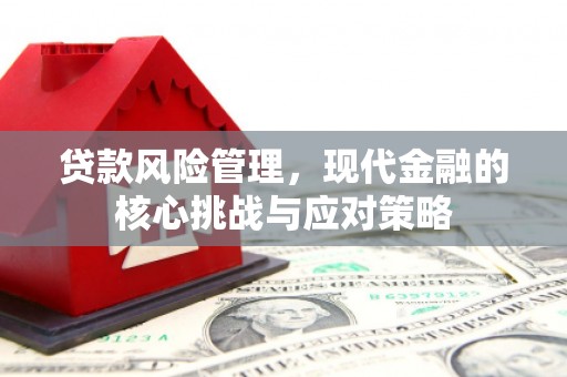 宁南贷款风险管理，现代金融的核心挑战与应对策略