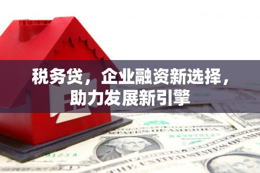 宁南税务贷，企业融资新选择，助力发展新引擎