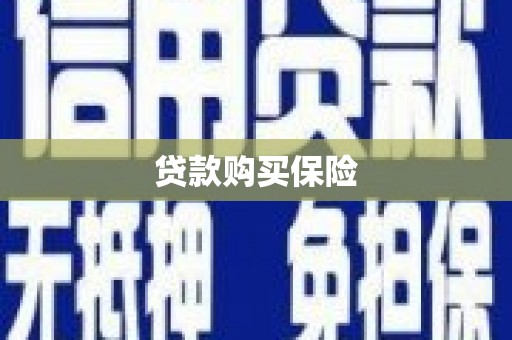 宁南贷款购买保险
