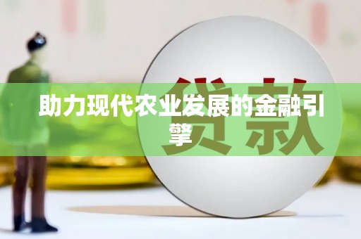 宁南助力现代农业发展的金融引擎
