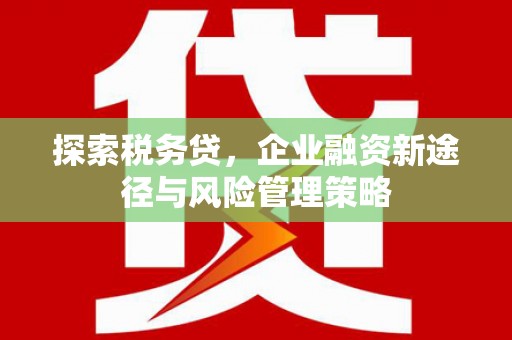 宁南探索税务贷，企业融资新途径与风险管理策略