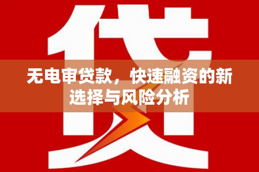 宁南无电审贷款，快速融资的新选择与风险分析