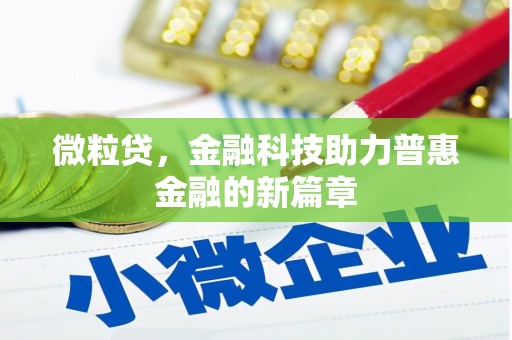 宁南微粒贷，金融科技助力普惠金融的新篇章