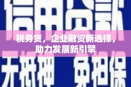 宁南税务贷，企业融资新选择，助力发展新引擎
