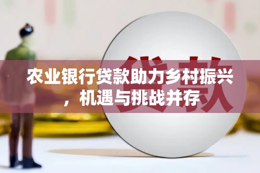 宁南农业银行贷款助力乡村振兴，机遇与挑战并存