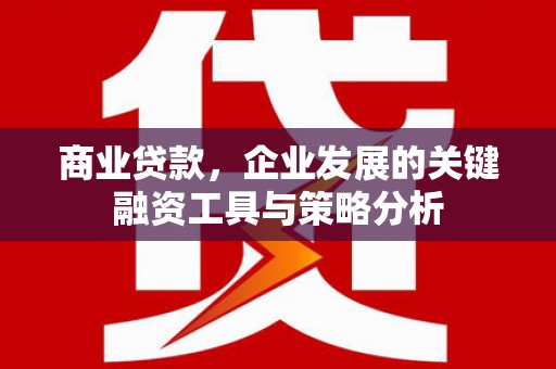 宁南商业贷款，企业发展的关键融资工具与策略分析