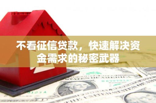 宁南不看征信贷款，快速解决资金需求的秘密武器