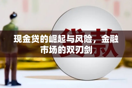 宁南现金贷的崛起与风险，金融市场的双刃剑