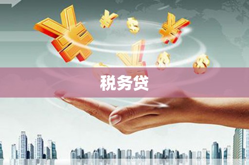 宁南税务贷