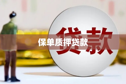宁南保单质押贷款