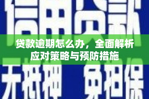 宁南贷款逾期怎么办，全面解析应对策略与预防措施