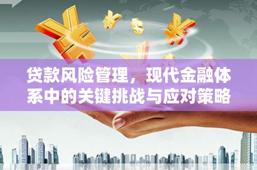 宁南贷款风险管理，现代金融体系中的关键挑战与应对策略