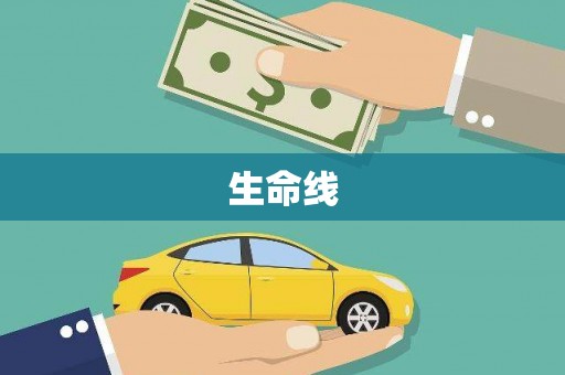 宁南生命线