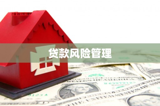 宁南贷款风险管理