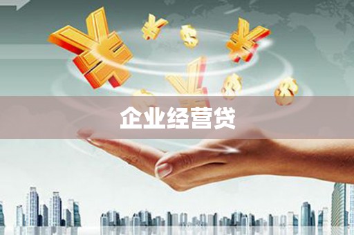 宁南企业经营贷