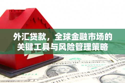 宁南外汇贷款，全球金融市场的关键工具与风险管理策略