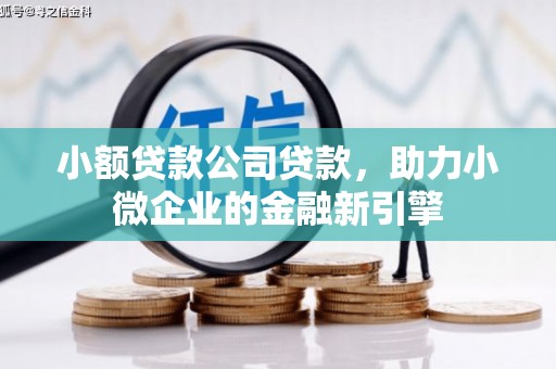 宁南小额贷款公司贷款，助力小微企业的金融新引擎