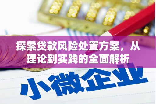 宁南探索贷款风险处置方案，从理论到实践的全面解析