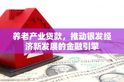 宁南养老产业贷款，推动银发经济新发展的金融引擎