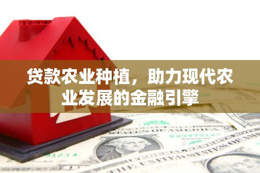 宁南贷款农业种植，助力现代农业发展的金融引擎