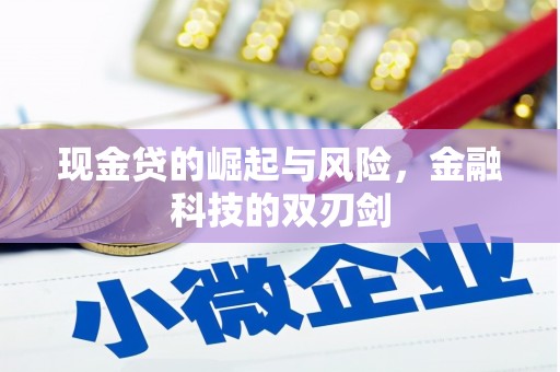 宁南现金贷的崛起与风险，金融科技的双刃剑