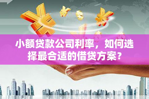 宁南小额贷款公司利率，如何选择最合适的借贷方案？