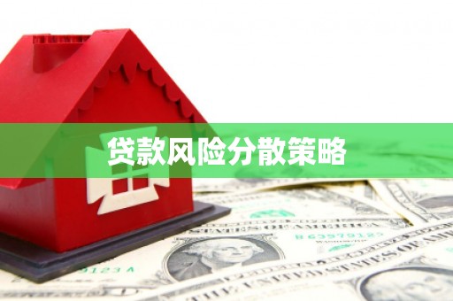 宁南贷款风险分散策略
