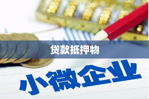 宁南贷款抵押物