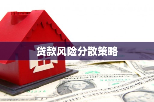 宁南贷款风险分散策略