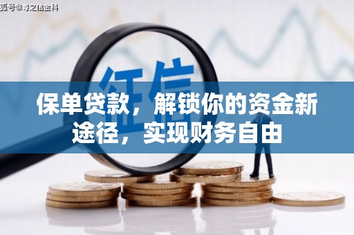 宁南保单贷款，解锁你的资金新途径，实现财务自由