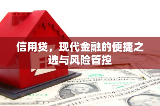 宁南信用贷，现代金融的便捷之选与风险管控