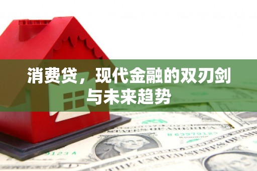 宁南消费贷，现代金融的双刃剑与未来趋势