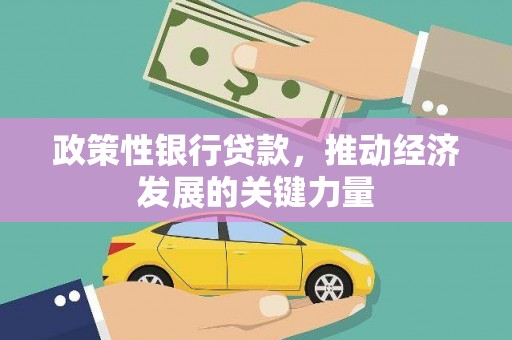 宁南政策性银行贷款，推动经济发展的关键力量