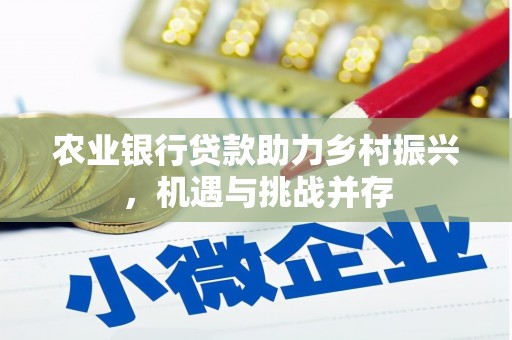 宁南农业银行贷款助力乡村振兴，机遇与挑战并存
