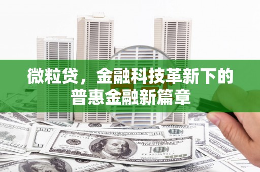 宁南微粒贷，金融科技革新下的普惠金融新篇章