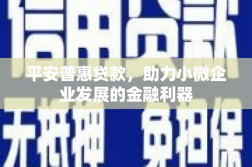 宁南平安普惠贷款，助力小微企业发展的金融利器