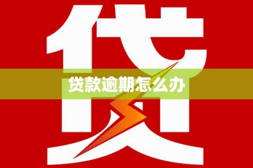 宁南贷款逾期怎么办