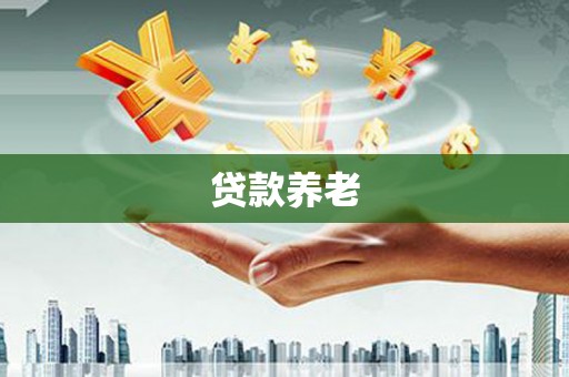 宁南贷款养老