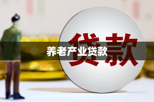 宁南养老产业贷款