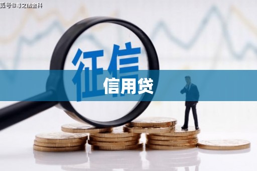 宁南信用贷