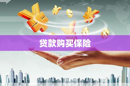 宁南贷款购买保险