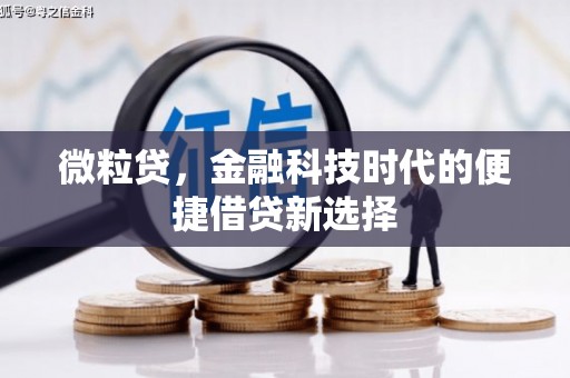 宁南微粒贷，金融科技时代的便捷借贷新选择